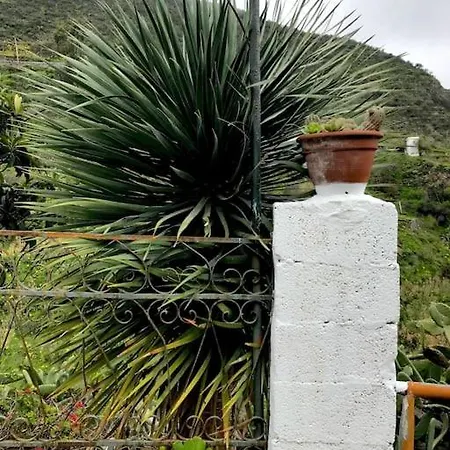 La Cueva Del Drago Holiday home Las Palmas de Gran Canaria